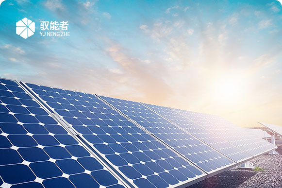深圳市网巢科技有限公司